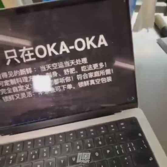 主厨开鱼、去骨与分切三文鱼刺身的真实处理过程视频